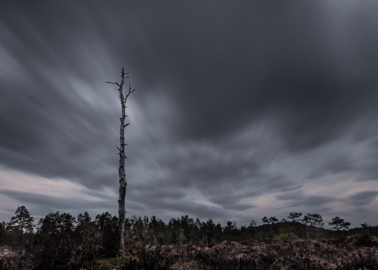 Abgestorbener kahler Baum unter einem dramatischen, durch Langzeitbelichtung bewegten Wolkenhimmel.