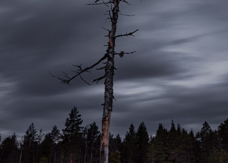Abgestorbener kahler Baum unter einem dramatischen, durch Langzeitbelichtung bewegten Wolkenhimmel.