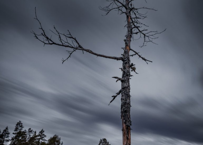 Abgestorbener kahler Baum unter einem dramatischen, durch Langzeitbelichtung bewegten Wolkenhimmel.