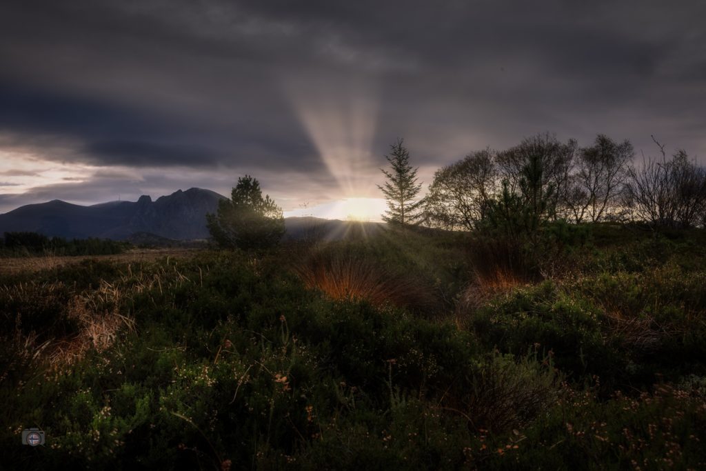 Im sanften Licht