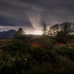 Im sanften Licht
