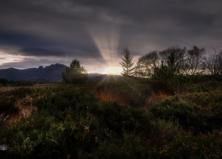 Landschaft mit tief stehender Sonne und weichem Licht durch Orton Effekt, leuchtendes Gras und stille Atmosphäre in der Natur.