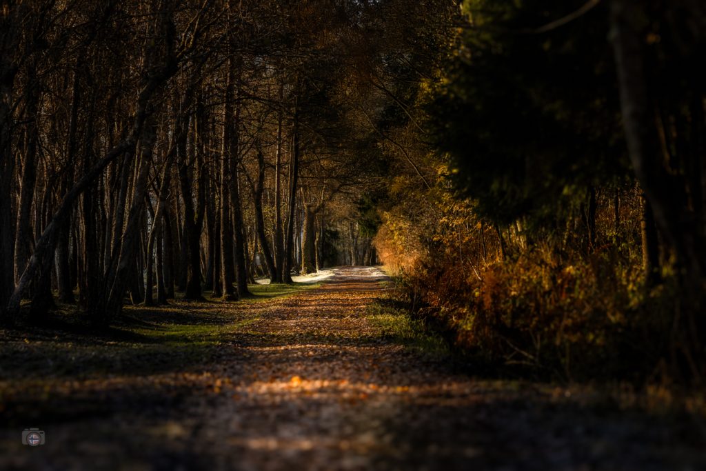 Am Ende des Herbstes