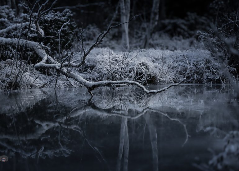Gefrorener See im Winter ohne Schnee. Glatte Eisfläche mit Spiegelung eines einzelnen Astes. Reduzierte, ruhige Landschaft.