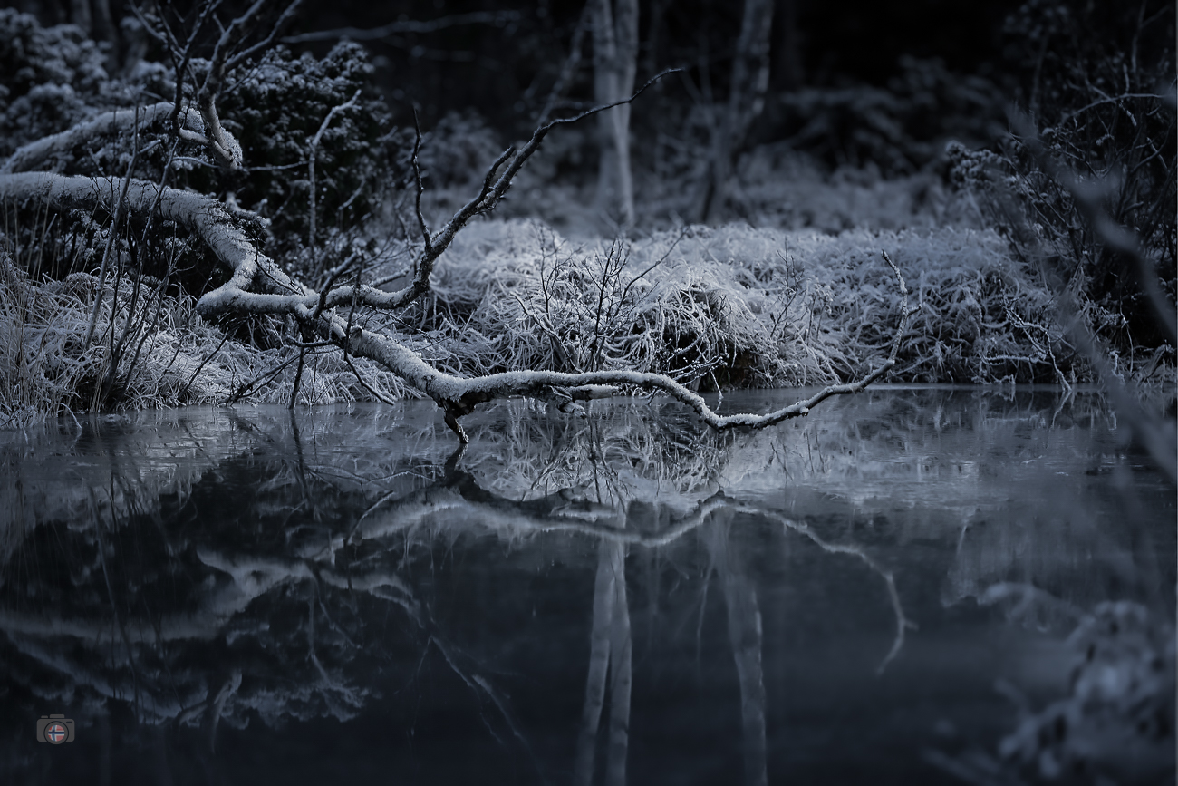 Gefrorener See im Winter ohne Schnee. Glatte Eisfläche mit Spiegelung eines einzelnen Astes. Reduzierte, ruhige Landschaft.