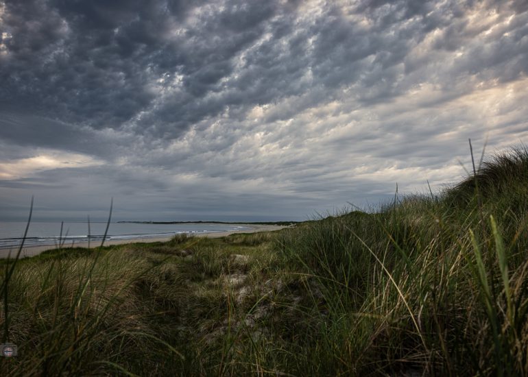 Langzeitbelichtung eines menschenleeren Strandes mit moosbewachsenen Steinen und einem großen Felsen am frühen Morgen