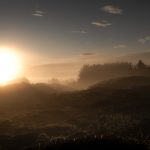 Morgenlicht