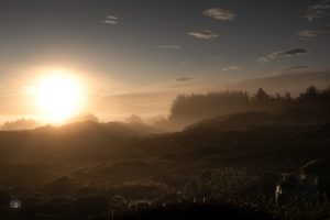 Sonnenlicht fällt über neblige Hügel am Atlantik während eines ruhigen Morgens