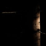 Fragmente des Waldes