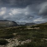 Die Weite dazwischen