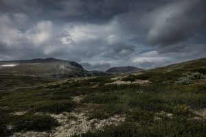 Karge Landschaft im Dovrefjell Nationalpark unter dramatischem Himmel mit wechselndem Licht