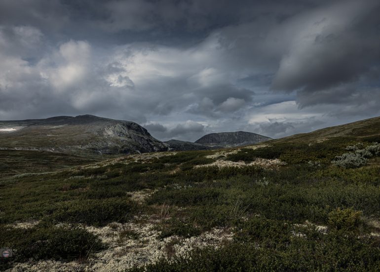 Karge Landschaft im Dovrefjell Nationalpark unter dramatischem Himmel mit wechselndem Licht