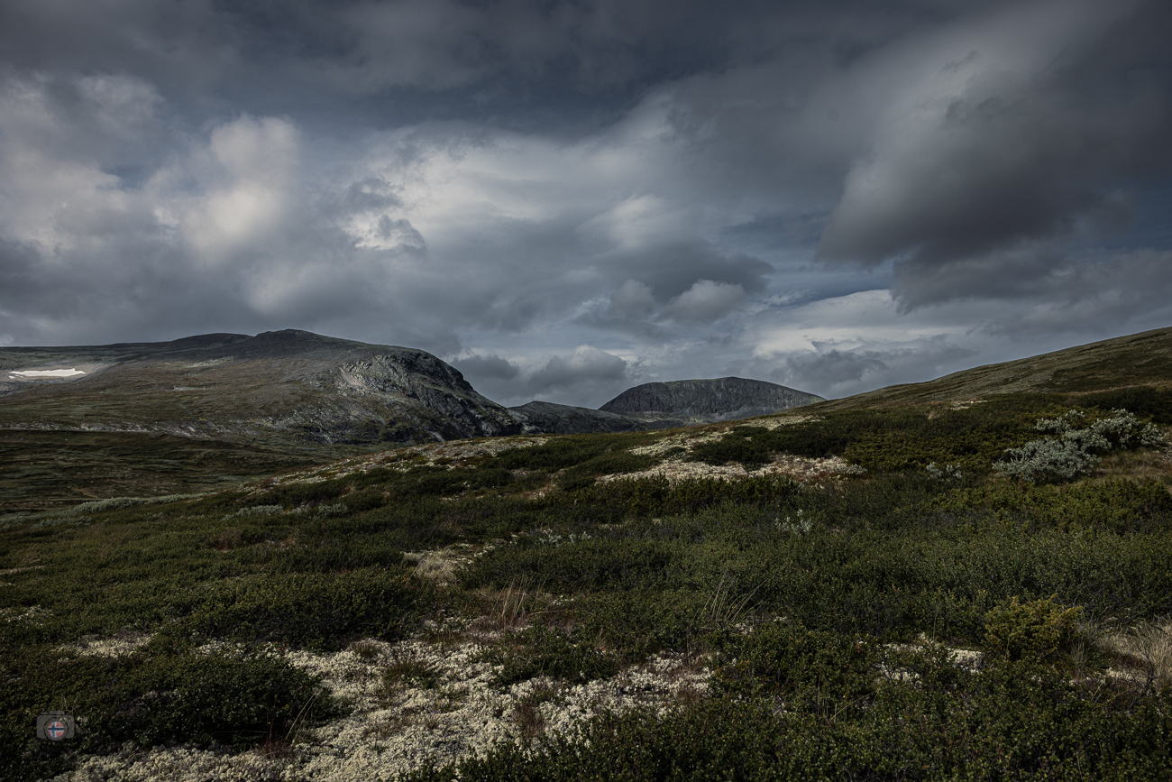 Karge Landschaft im Dovrefjell Nationalpark unter dramatischem Himmel mit wechselndem Licht