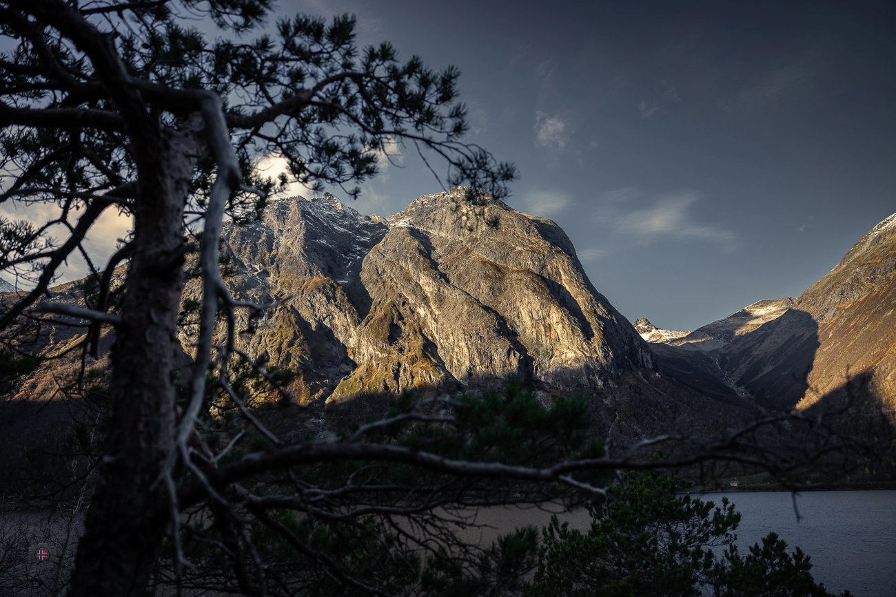Scharfer Kiefernstamm und Äste vor weich gezeichneten Bergen an einem Bergsee